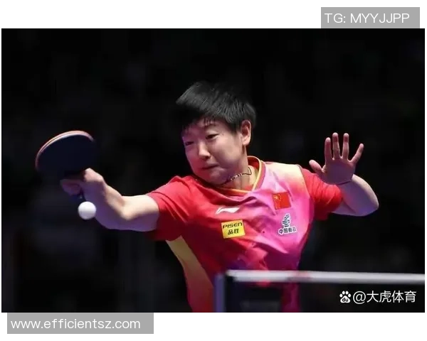 西安网球队心理素质排名第二展现强大心理韧性与竞技实力